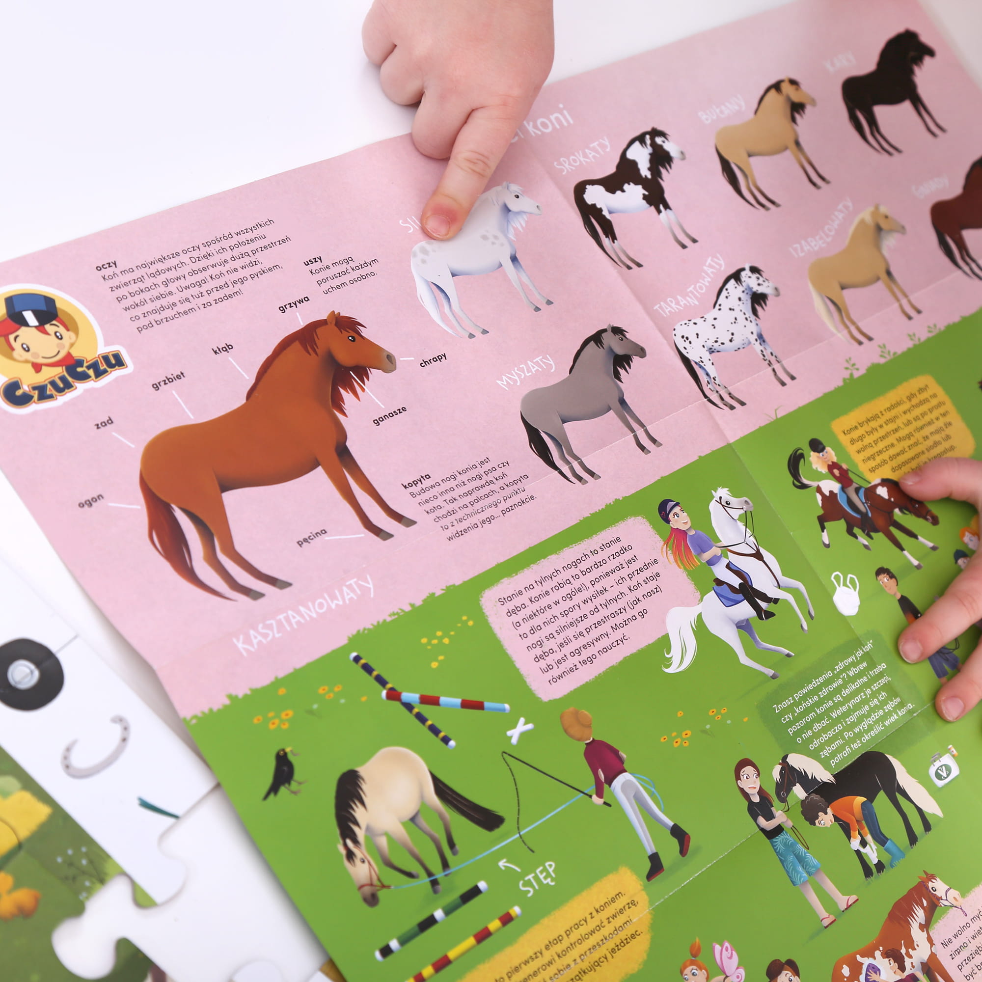 Czuczu Puzzle obserwacyjne Stadnina koni 84el. 5+