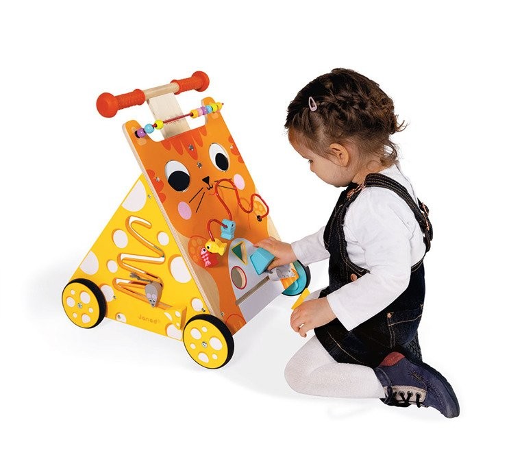 Janod Pchacz Edukacyjny Kot 12-36m