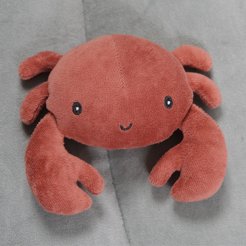 Little Dutch Mata Aktywizująca Ocean Mięta 0+