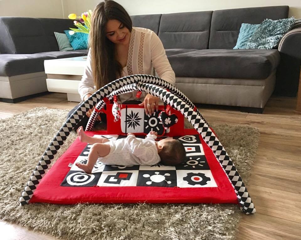 Baby Senses Mata Edukacyjna Kontrastowa ze Ścianką 0+