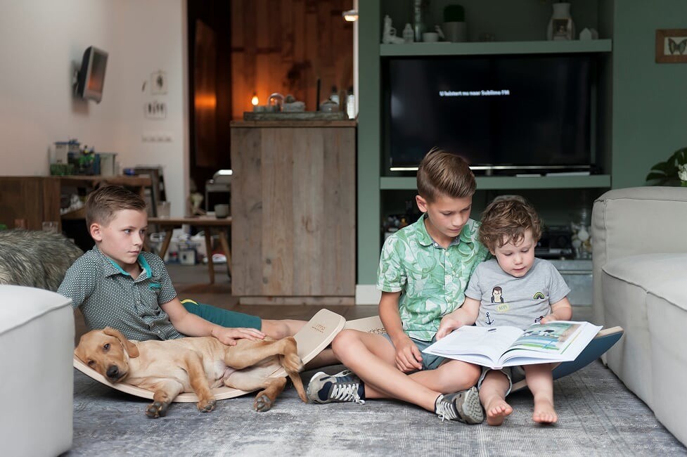 Wobbel Deska do balansowania XL różowa z filcem 115cm