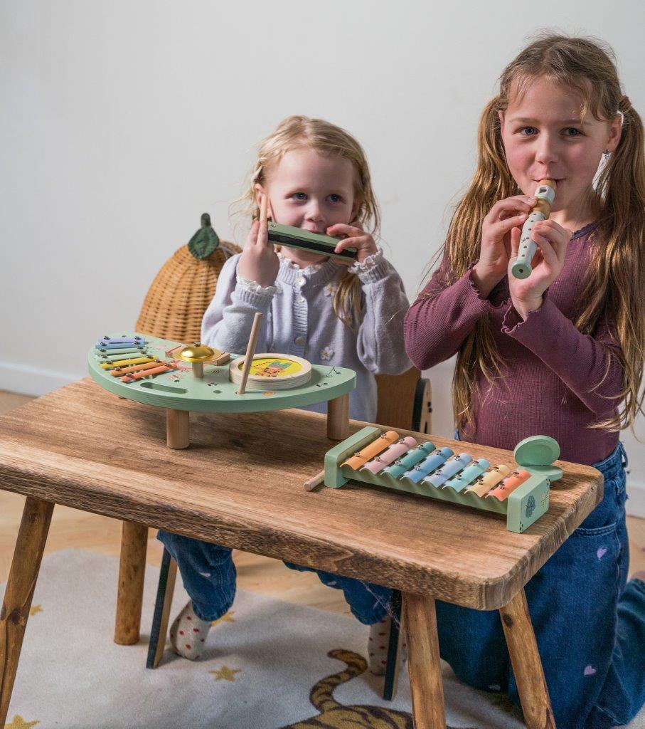 Dantoy Drewniane Instrumenty Muzyczne Zestaw FSC 3+