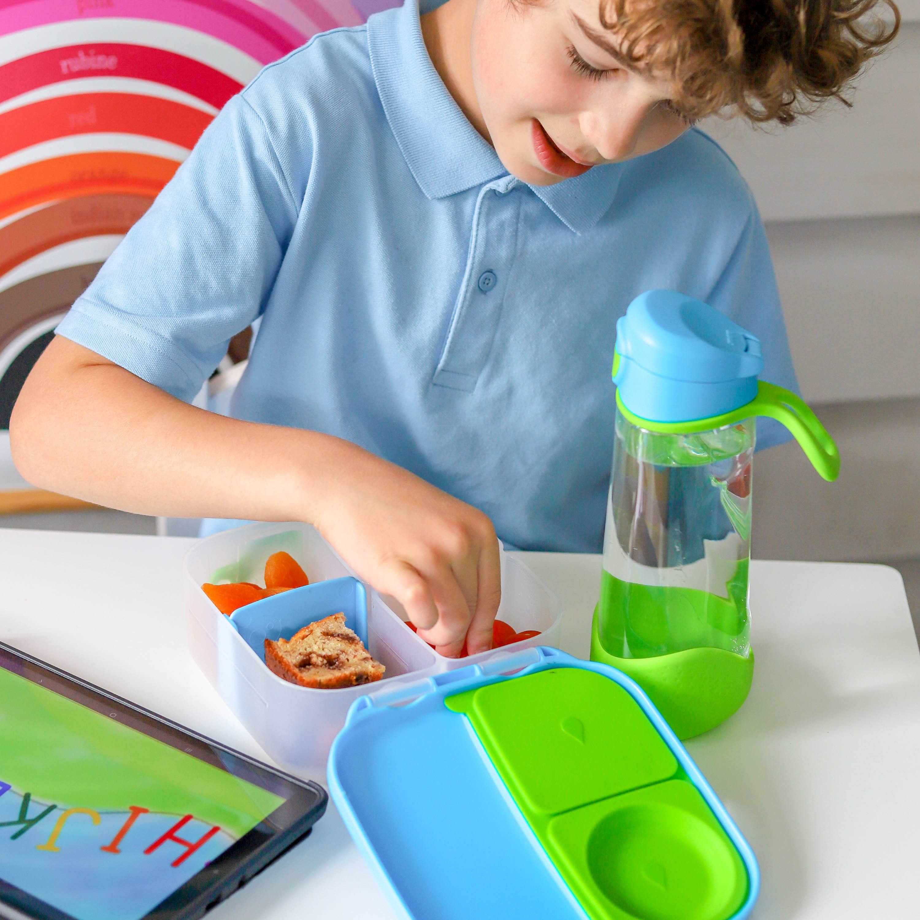 B.box Mini Lunchbox Indigo Rose 12m+