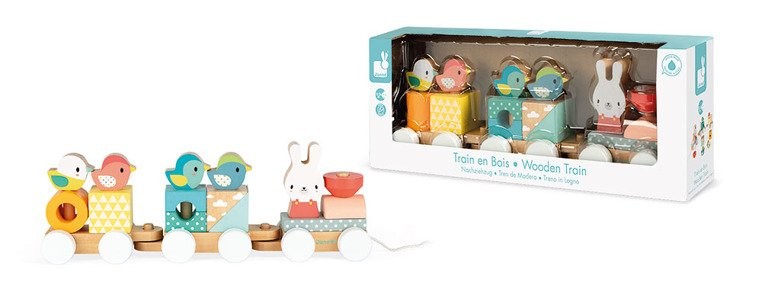 Janod Pociąg z Klockami do Ciągnięcia Pure 12m+