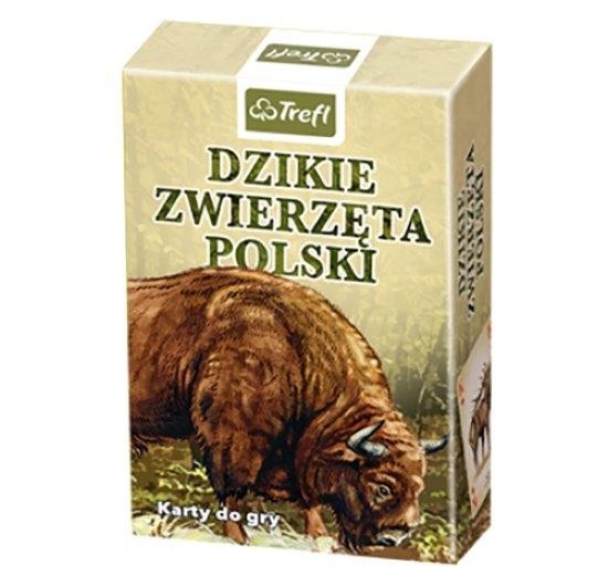 Karty Dzikie Zwierzęta Polski - Edukacyjne Gry 3+