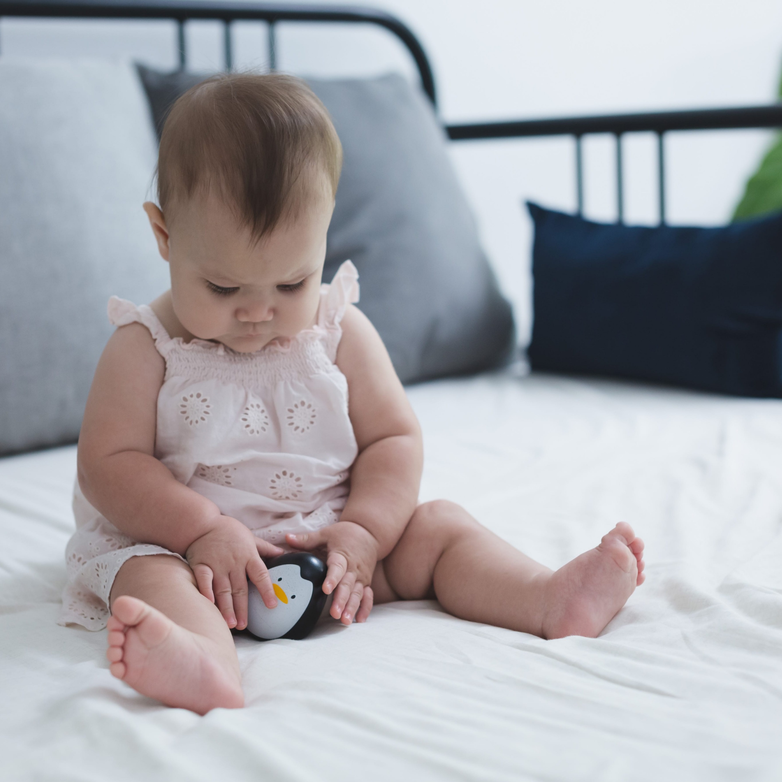 Plan Toys Pingwin Wańka-Wstańka 12m+