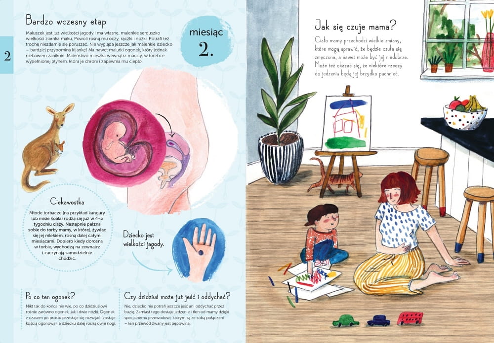 Babaryba Książka 9 miesięcy Rozwój Dziecka 0+ | Fabryka Wafelków