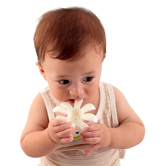 Mombella Gryzak Ośmiornica żółty 0+