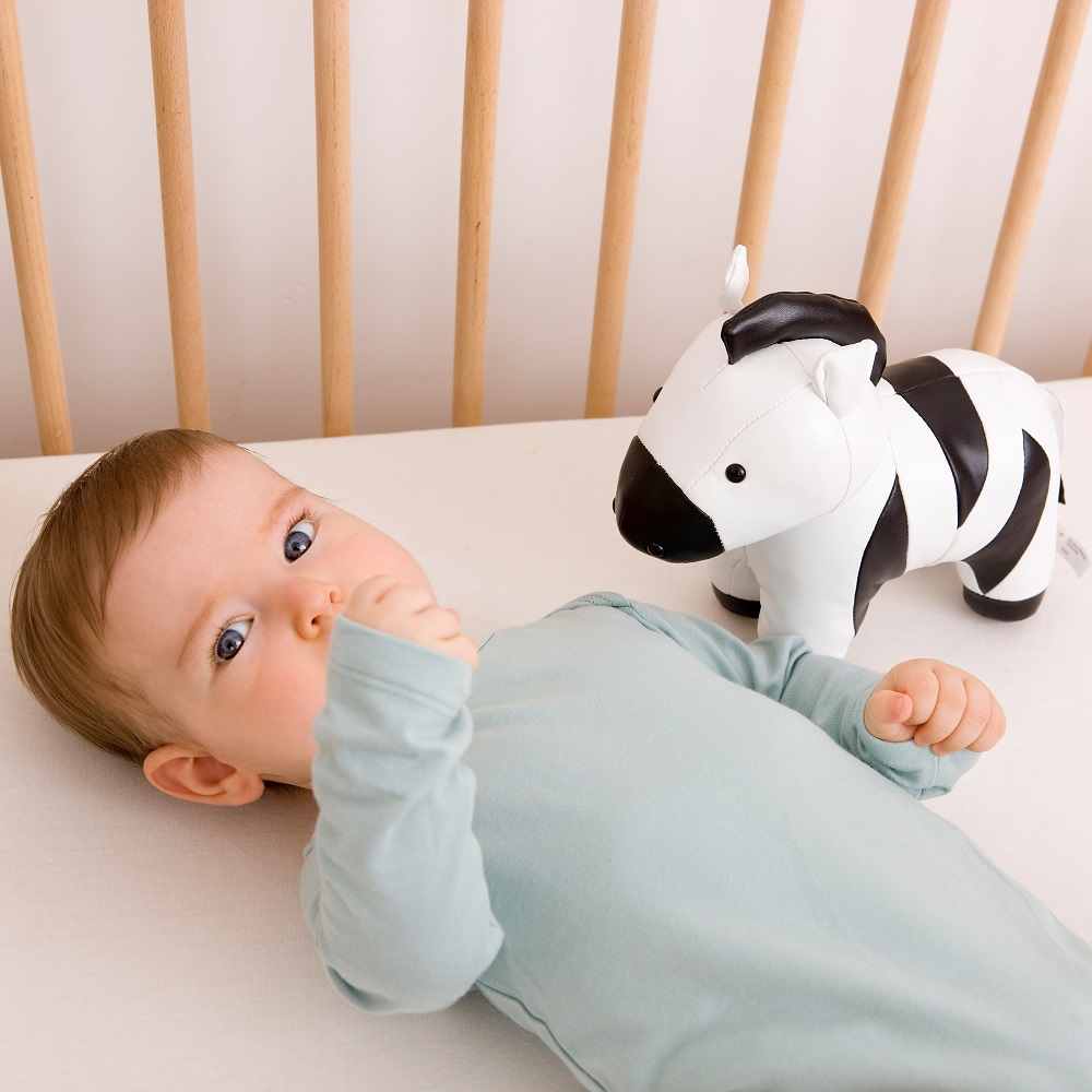 Little Big Friends Zebra Robert – przytulanka pozytywka 0+