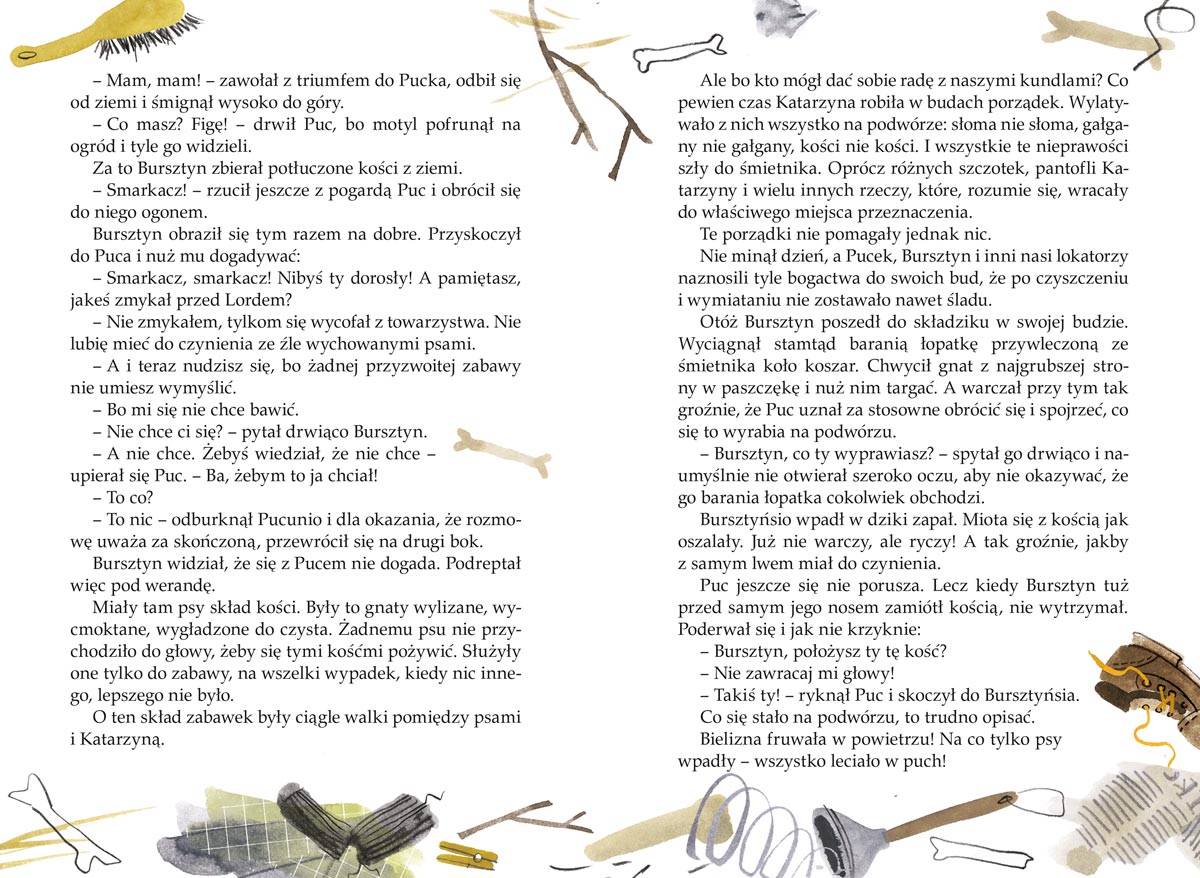 Puc, Bursztyn i goście - Książka dla dzieci, Jan Grabowski