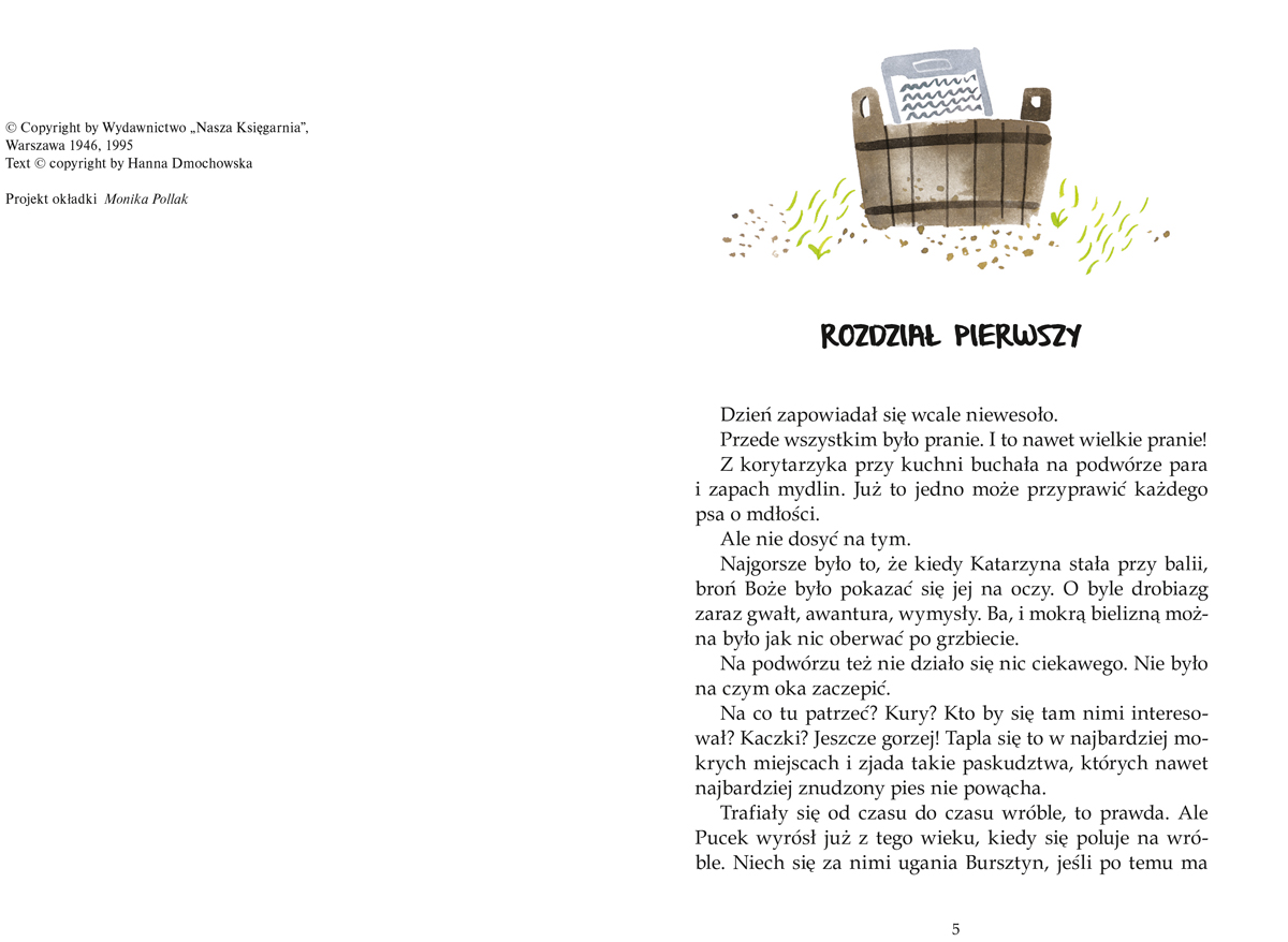 Puc, Bursztyn i goście - Książka dla dzieci, Jan Grabowski