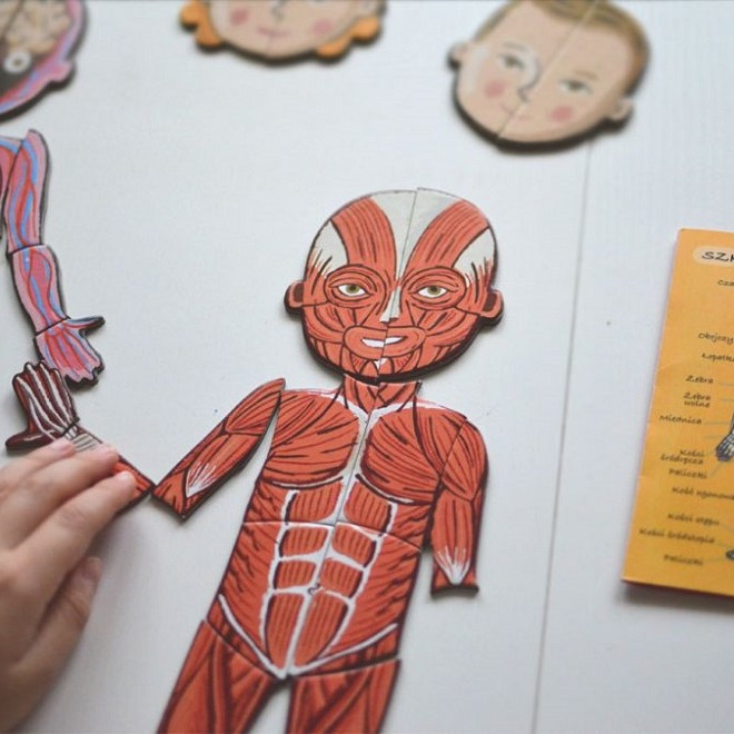 Janod Układanka Magnetyczna Ciało Człowieka 5+ | Edukacyjna