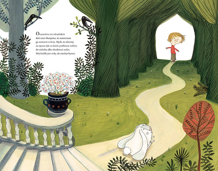 Benjamin Chaud Żegnaj Skarpetko Książka 3+ lat