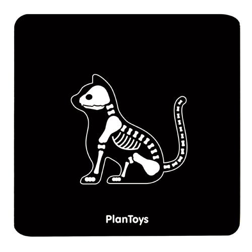 Plan Toys Mały Weterynarz 3+ | Zestaw Lekarski