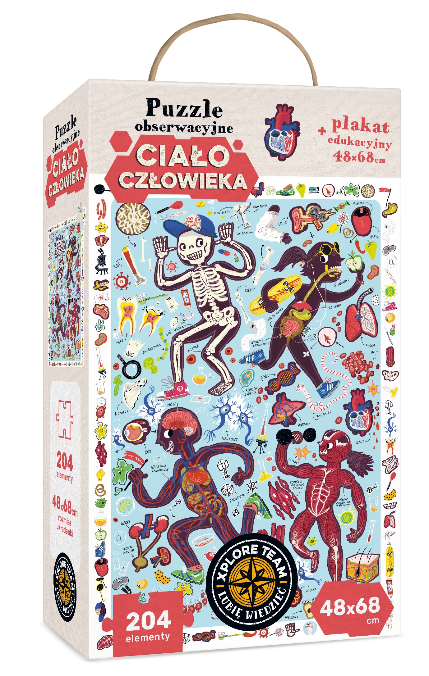 Xplore Team Puzzle Obserwacyjne Ciało Człowieka 5+
