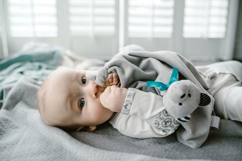 Whisbear, DouDou Kocyk Przytulanka Miś Friends of Whisbear®