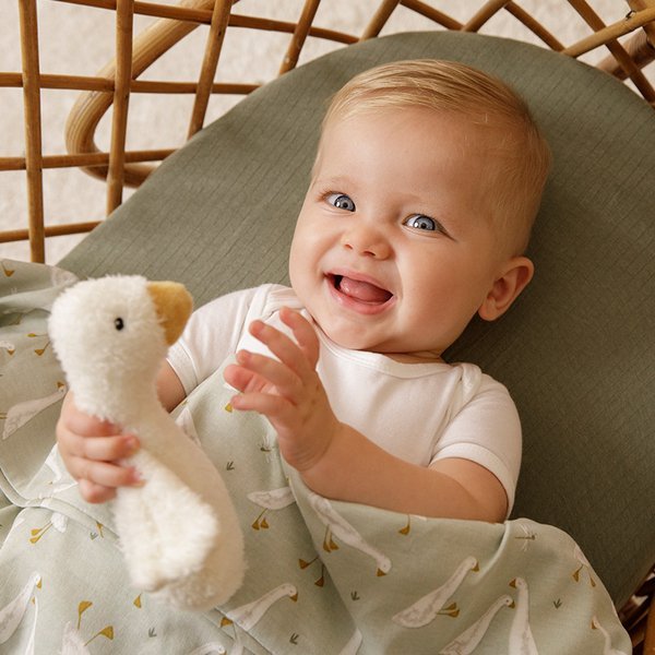 Little Dutch Piszczałka Little Goose 0+