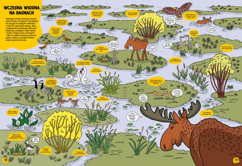 O rany, przyroda! Książka edukacyjna dla dzieci 3+ | Fabryka Wafelków