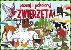 Zwierzęta poznaj i pokoloruj