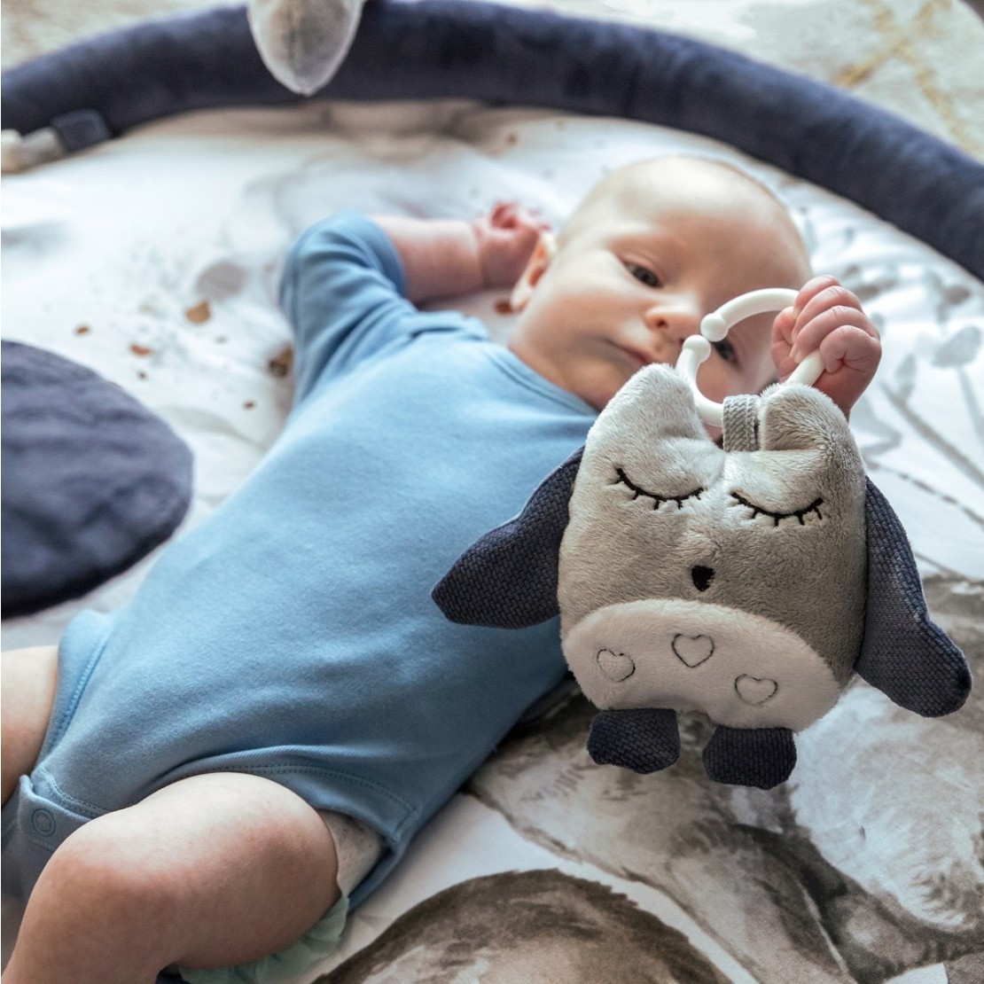 Babysteps, Mata edukacyjna Wolf Moonlight