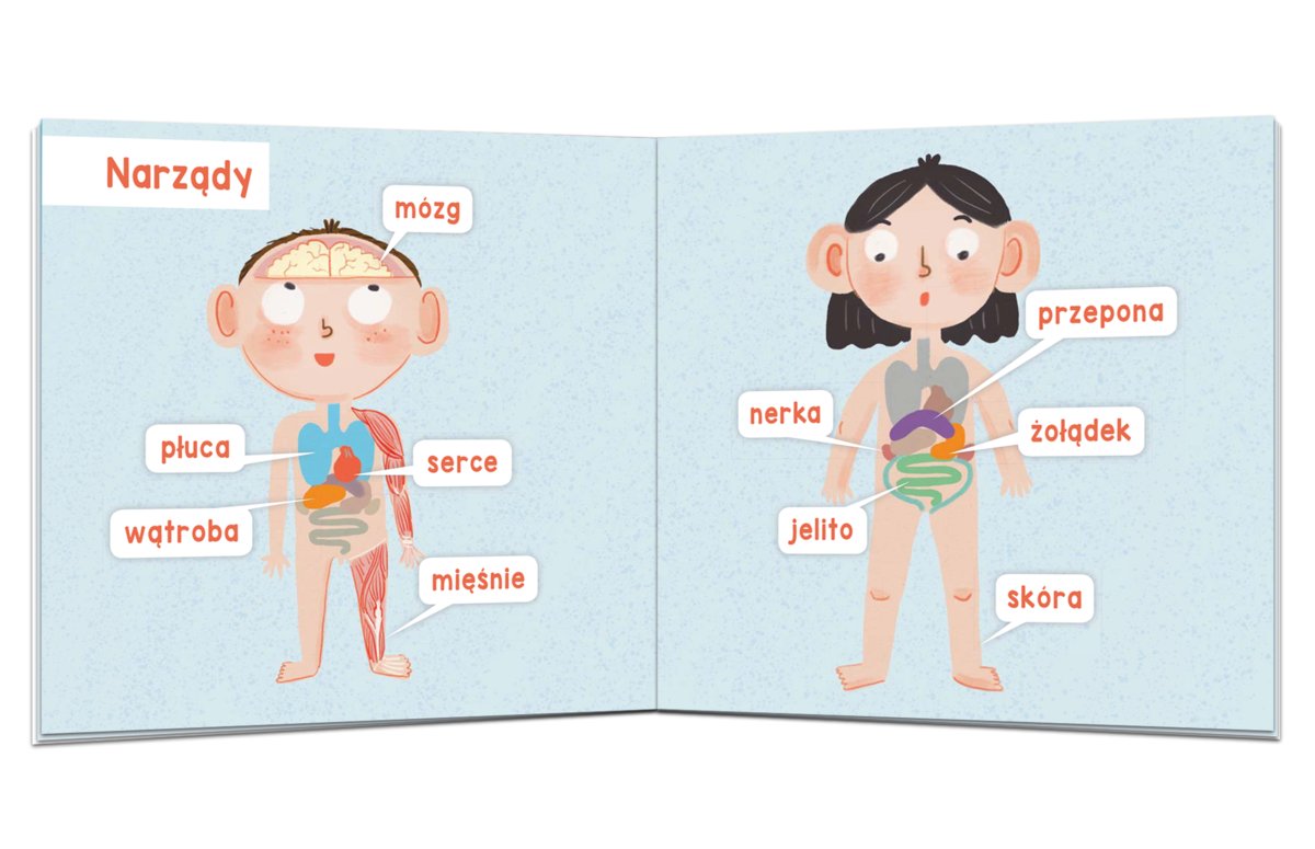 Kapitan Nauka Moje Ciało 100 słówek 12m+