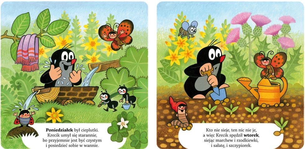 Bajka "Tydzień Krecika" Strzałkowska 1+ | Książka Edukacyjna