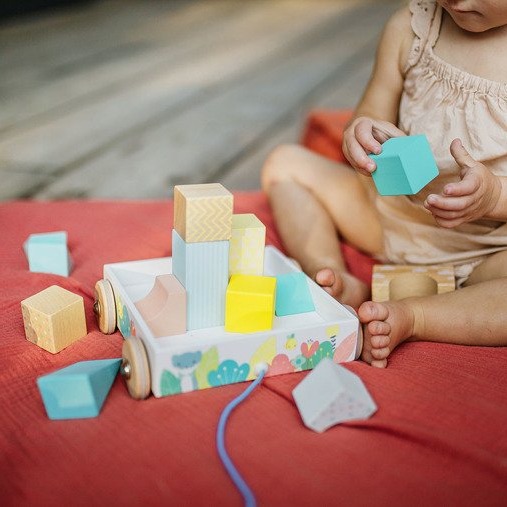 Janod Klocki Drewniane Do Ciągnięcia 30el 18m+