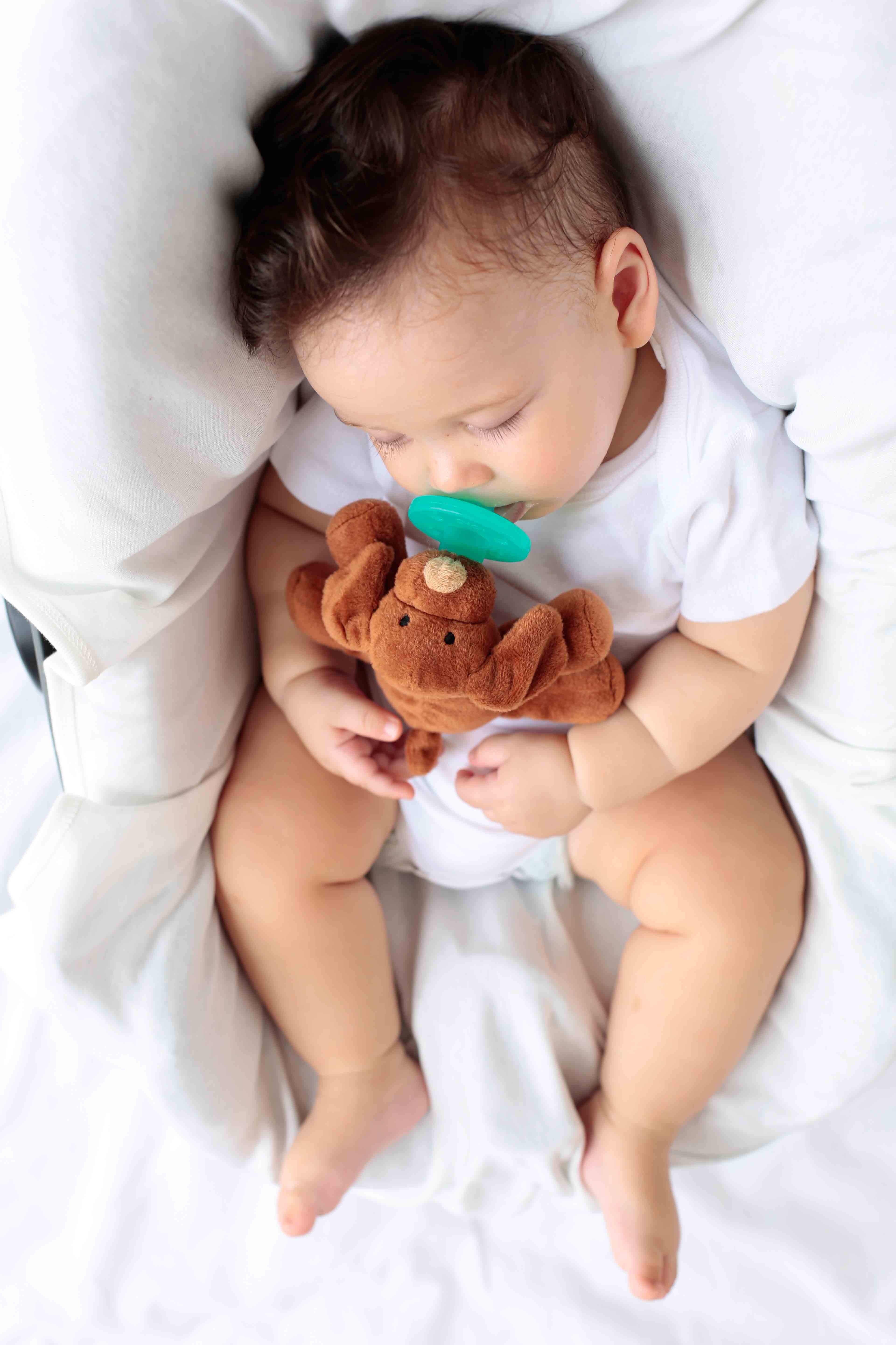 Minikoioi Smoczek z przytulanką Puppy 0-18 mies.