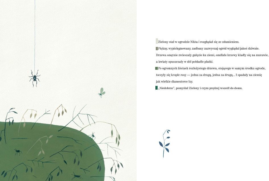 Książka "Zielony, Nikt i ktoś" Małgorzata Strzałkowska 3+