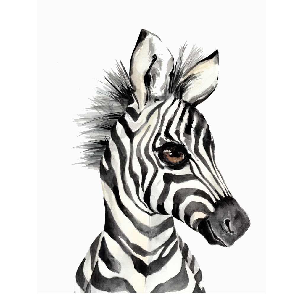 Bimbla Obrazek Zebra A4 - Ilustracja Zwierzęca 0+