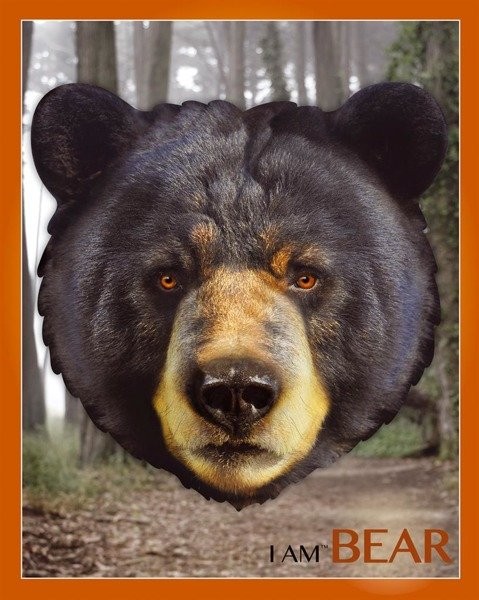 Madd Capp Puzzle I AM BEAR - Niedźwiedź 550el 10+