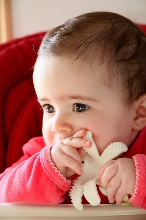 Mombella Gryzak Ośmiornica żółty 0+