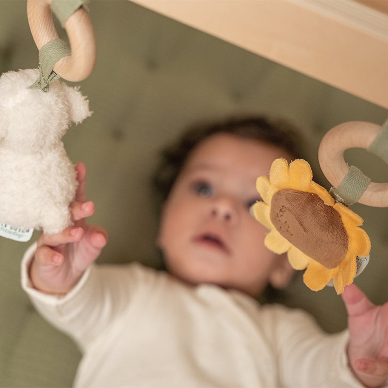 Little Dutch Pałąk Interaktywny Little Farm 0+ | Babygym