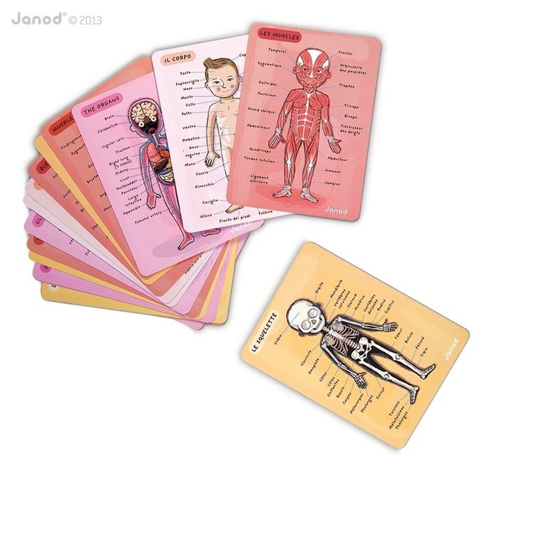 Janod Układanka Magnetyczna Ciało Człowieka 5+ | Edukacyjna