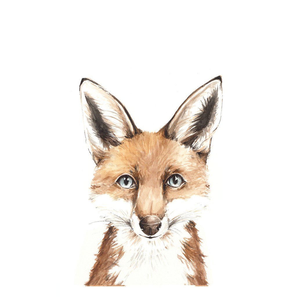 Bimbla Obrazek Lisek A4 - Ilustracja Zwierzątka 0+