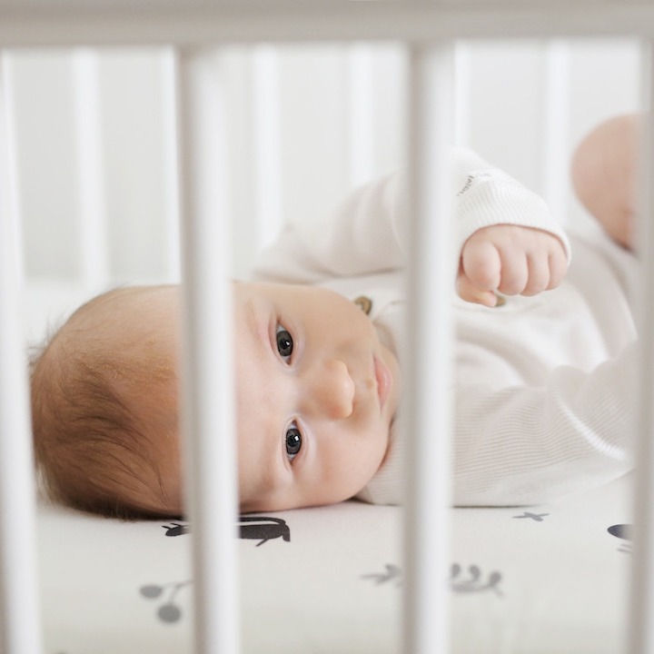 Sleepee Prześcieradło We Care Wiewióry 120x60cm | Bawełna z Elastanem