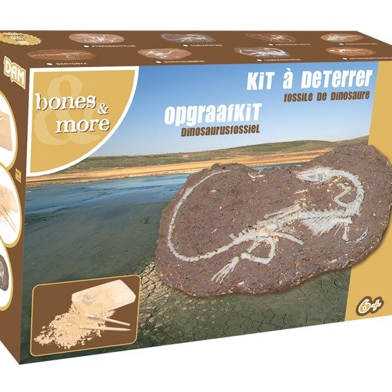 Bones&More, Duży szkielet dinozaura - wykopalisko na kamieniu
