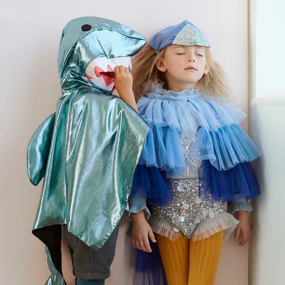 Meri Meri Przebranie Ptak niebieski 3-6 lat