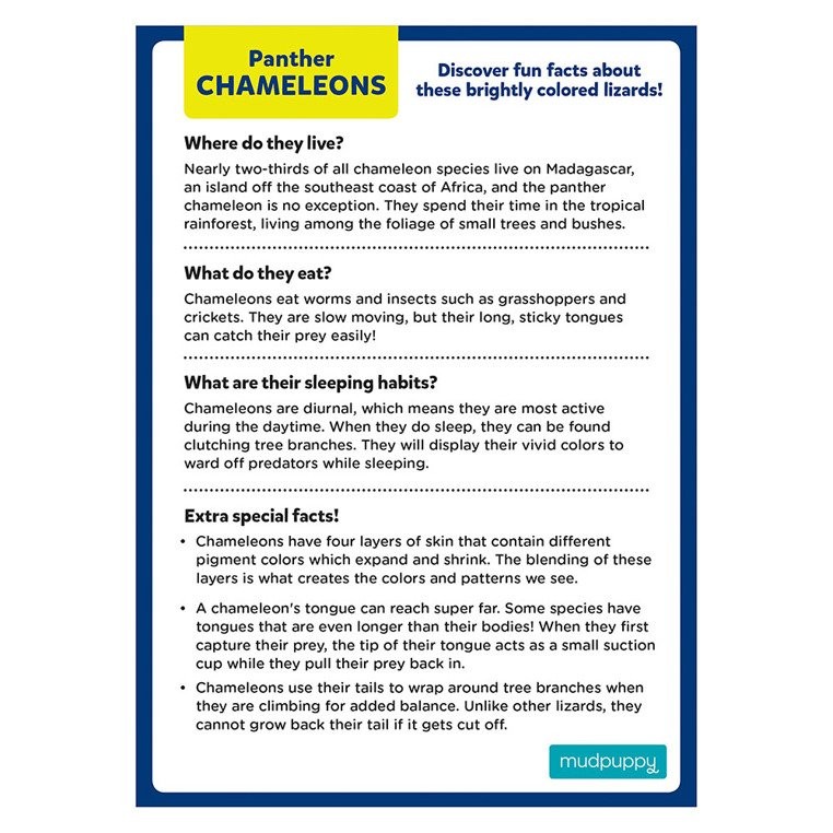 Mudpuppy Puzzle Mini Kameleon Lamparci 48el 4+