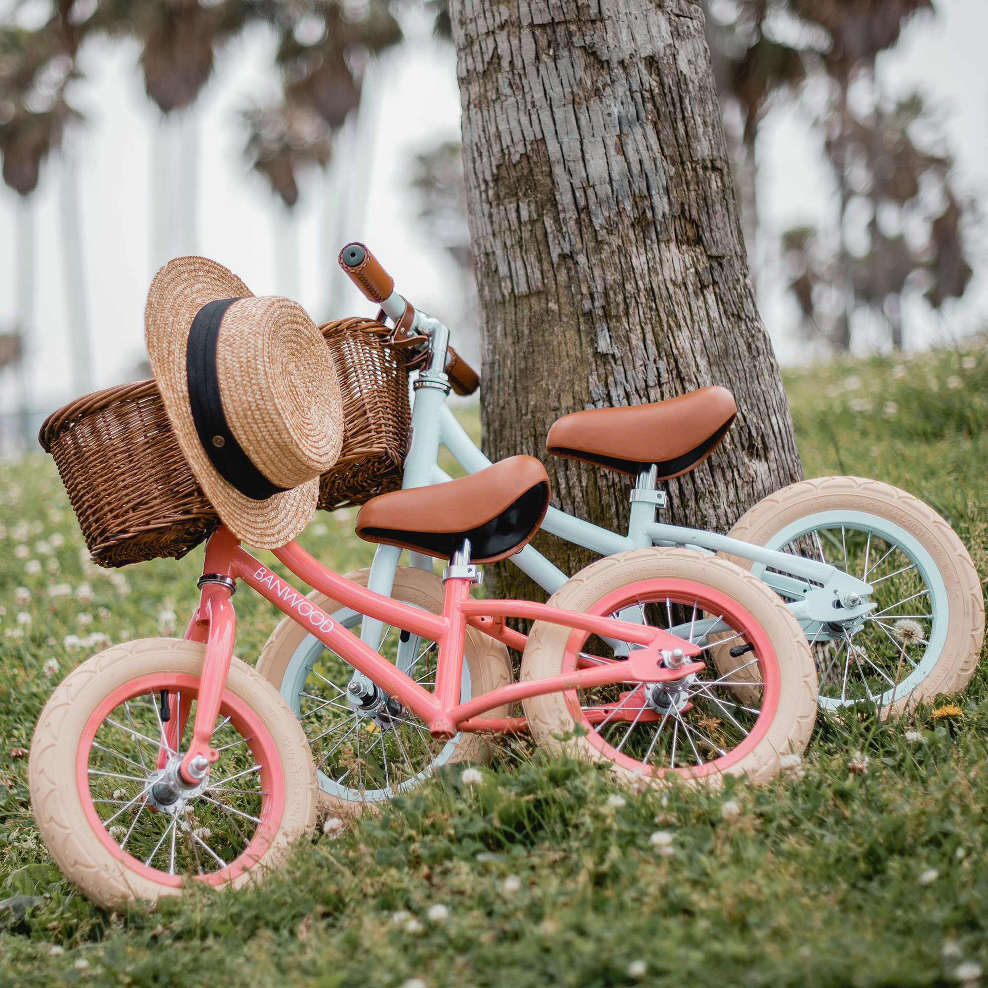 Banwood, FIRST GO! rowerek biegowy coral