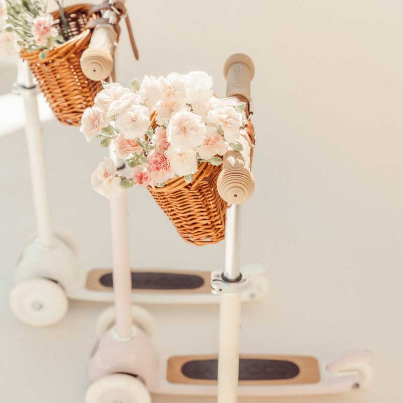 Banwood, Hulajnoga Pink