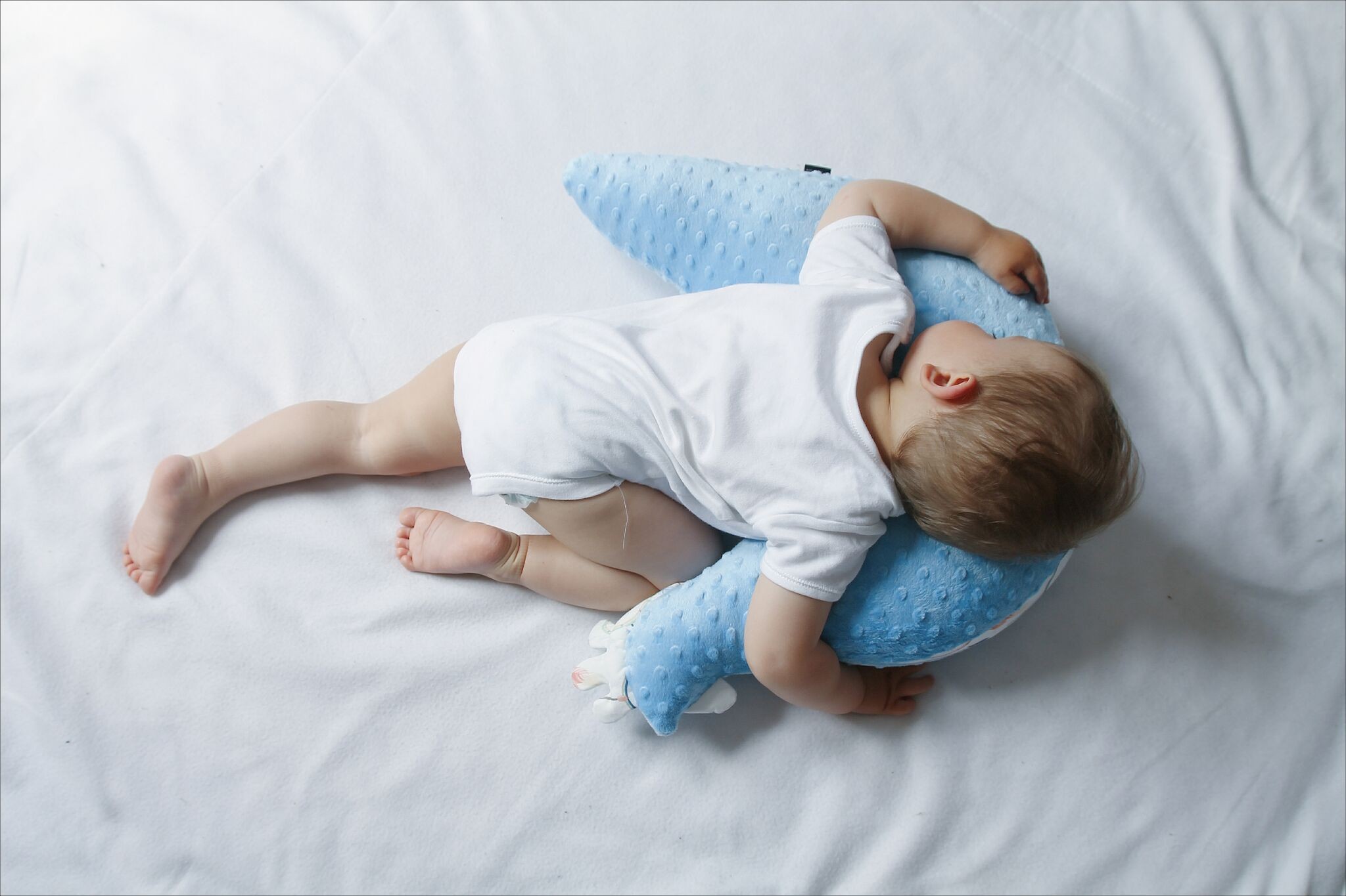 La Millou, Kura Babci Dany - Latte - Pure bears