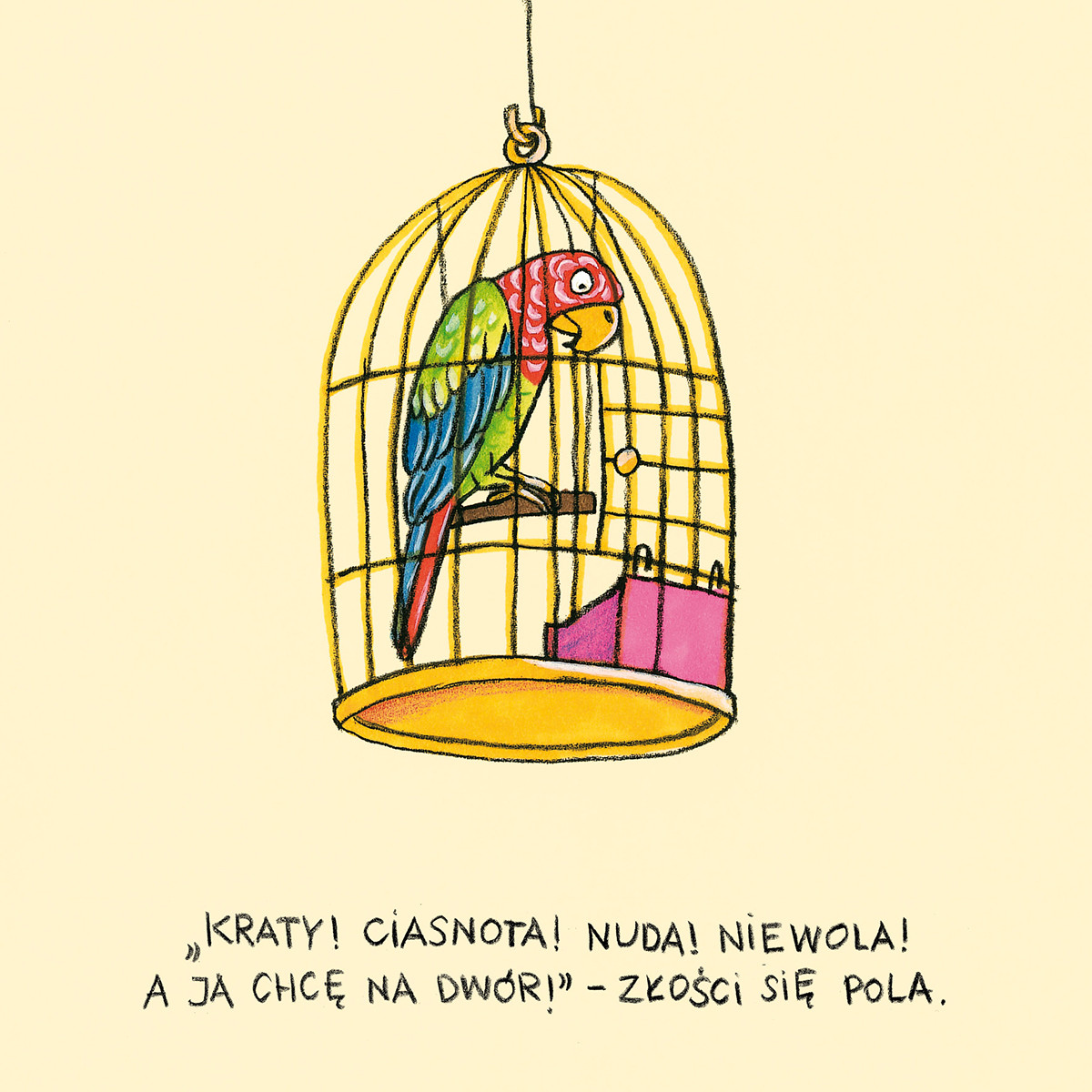 Pola z ulicy Czereśniowej - Książka Wierszowana 3+