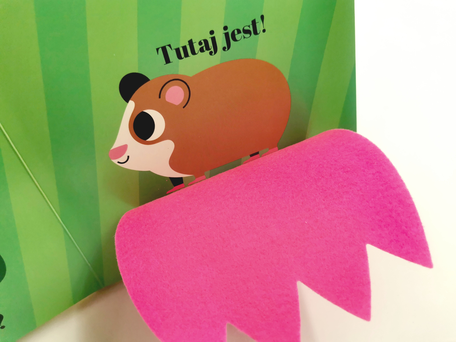 Gdzie się schował kotek? Akademia mądrego dziecka. Zabawa w chowanego