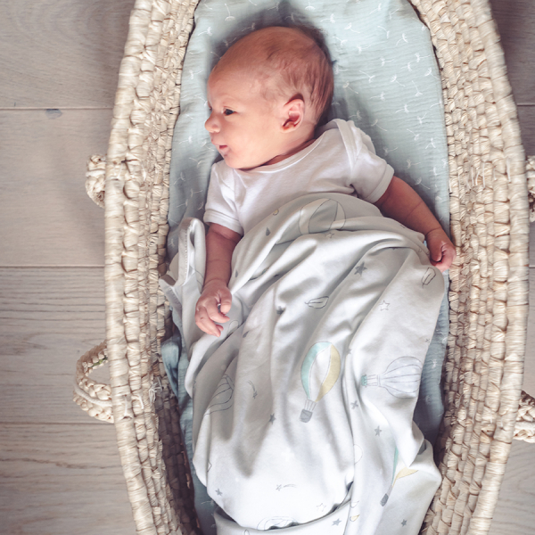 Snap the moment Foto-kocyk Pastel Grey 0+ | Śledzenie wzrostu