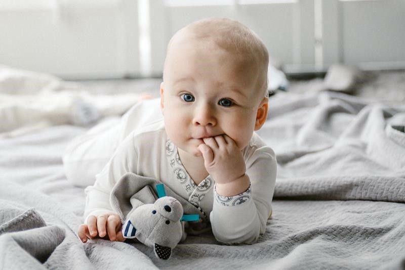 Whisbear, DouDou Kocyk Przytulanka Miś Friends of Whisbear®