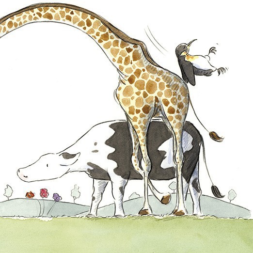 O chłopcu, który wpadł do książki - Adamada 4+