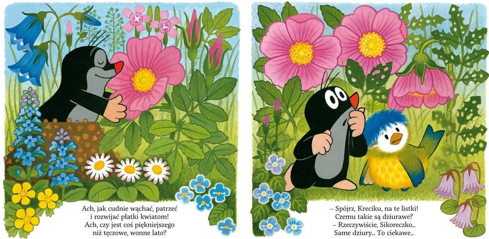 Książka "Krecik i motyle" Małgorzaty Strzałkowskiej 1+