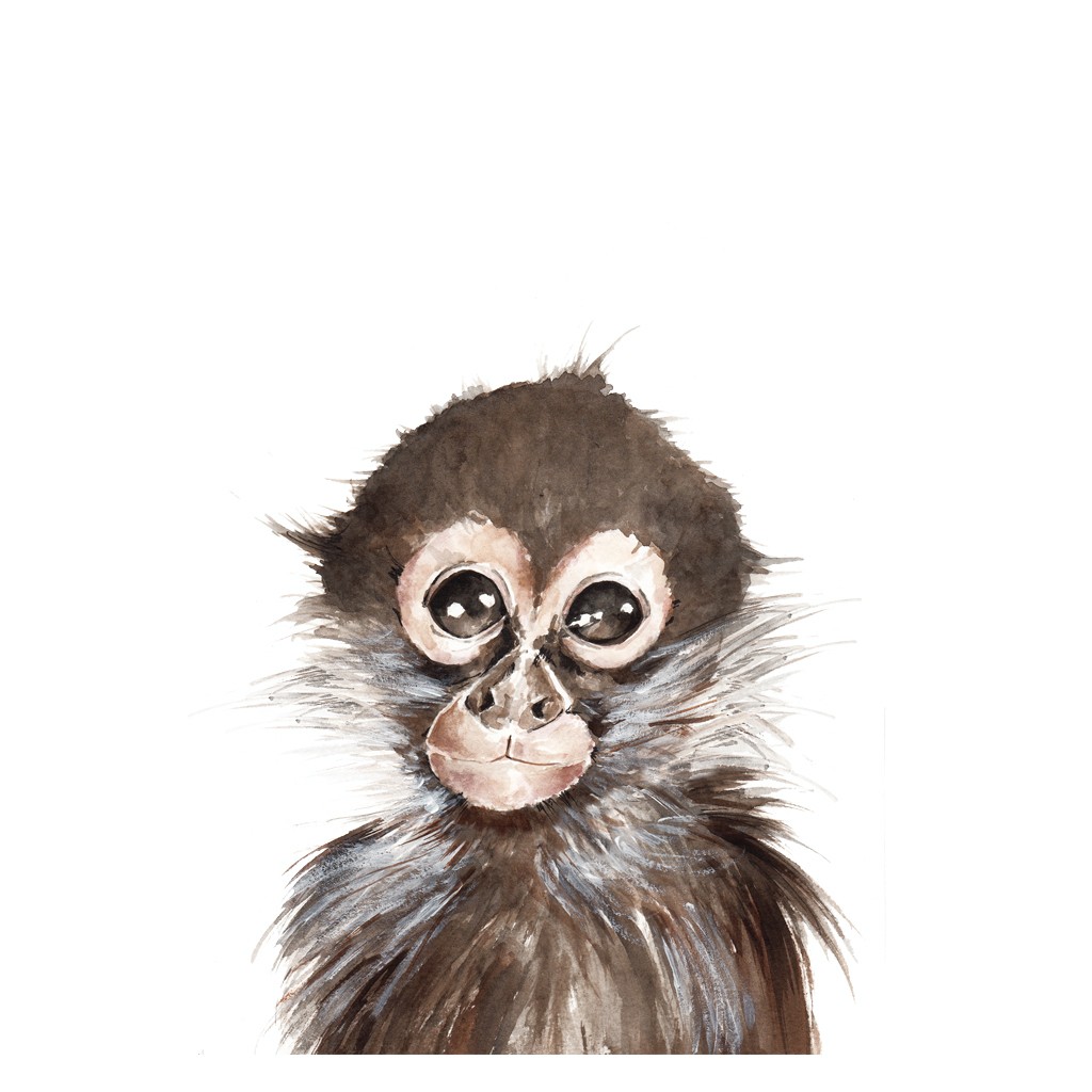 Bimbla Obrazek Małpka A4 - Ilustracja Edukacyjna