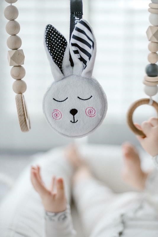 Whisbear Szumiący Króliczek Friends 0+ | Do Wózka